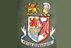 Embroidered emblem